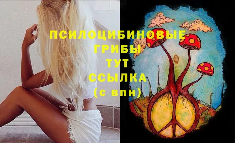 Псилоцибиновые грибы Psilocybe  Мамадыш 